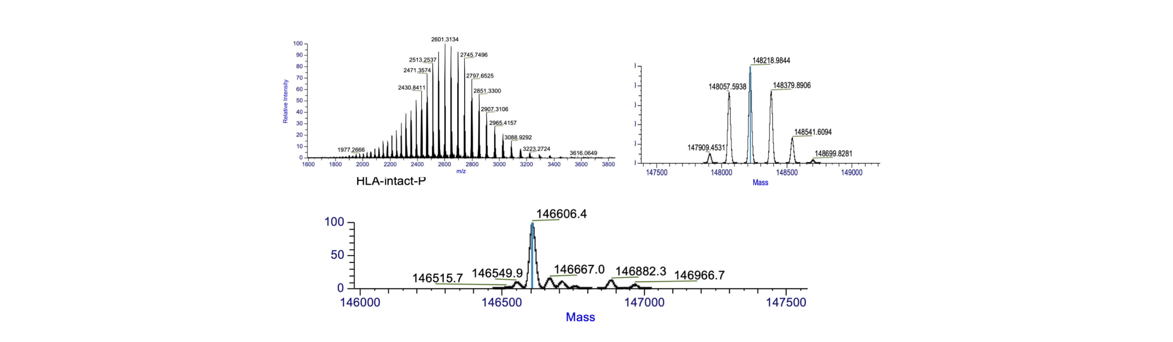 ESI-LC-MS蛋白完整分子量@2x.jpg