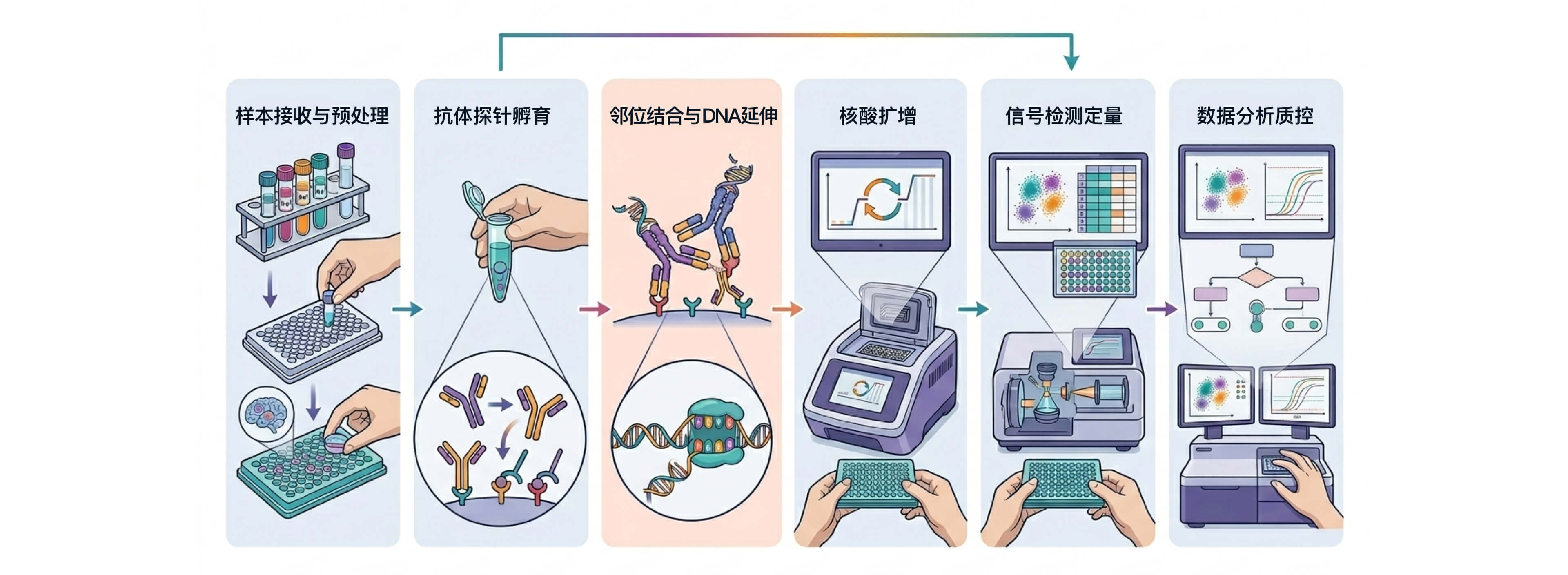 技术流程