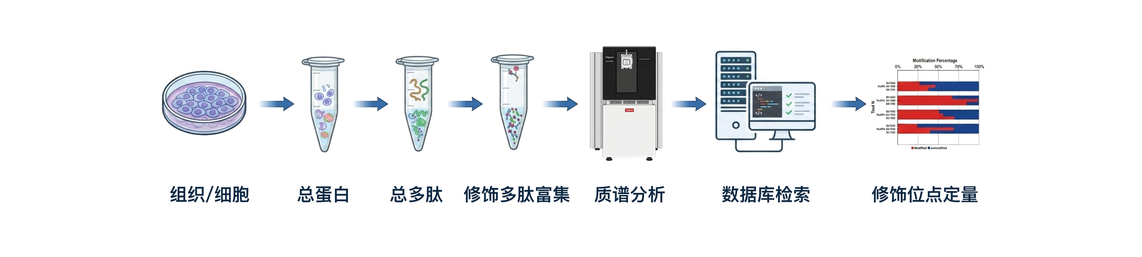 技术流程